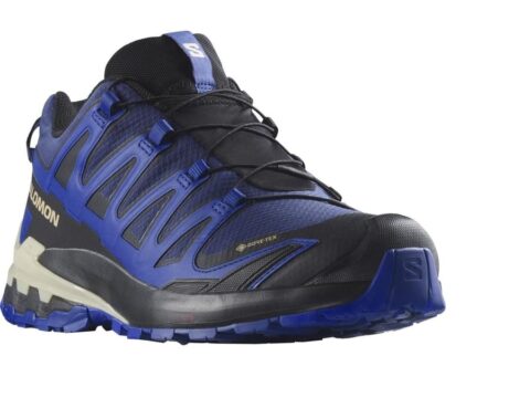 Salomon XA PRO 3D v9 GORE-TEX Herren blau