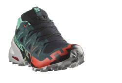 Salomon SPEEDCROSS 6 GORE-TEX Herren grau orange