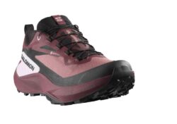 Salomon Genesis GORE-TEX Damen dunkelrot