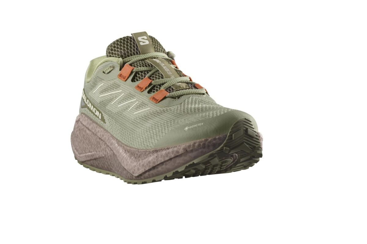 Salomon Aero Blaze 3 Gravel Herren GORE-TEX grün
