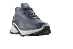 Salomon Supercross 4 Herren GORE-TEX grau