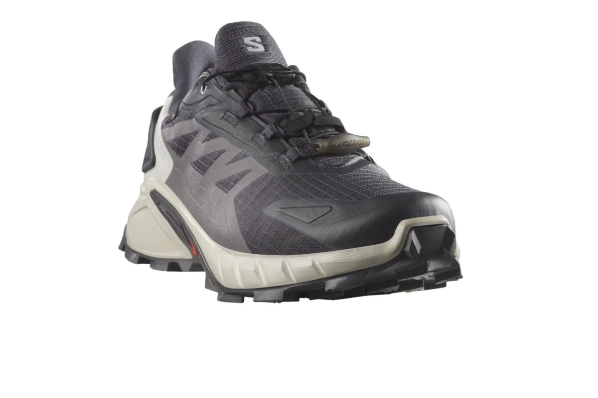 Salomon Supercross 4 Damen GORE-TEX grau