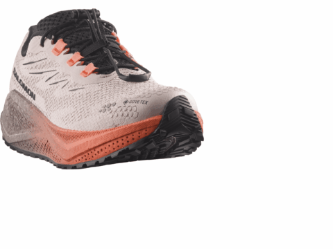 Salomon Aero Blaze 4 Gravel Damen GORE-TEX rose orange