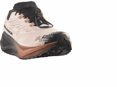 Salomon Aero Blaze 4 Gravel Damen GORE-TEX rose schwarz