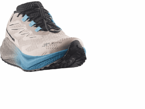 Salomon Aero Blaze 4 Gravel Herren GORE-TEX braun blau