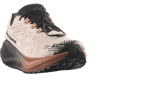 Salomon XA PRO 3D v9 lifelong Herren GORE-TEX grau braun
