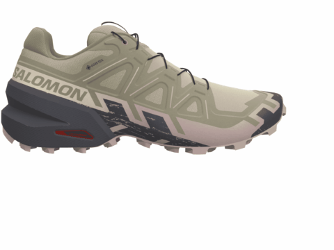 Salomon XA PRO 3D v9 lifelong Herren GORE-TEX grau braun