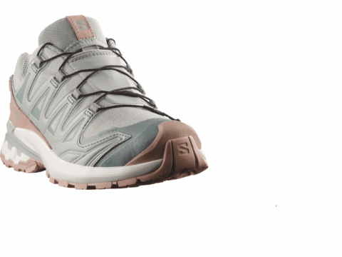 Salomon XA PRO 3D v9 lifelong Damen grau braun