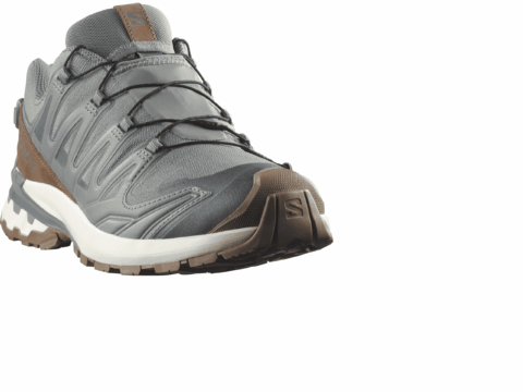 Salomon XA PRO 3D v9 lifelong Herren GORE-TEX grau braun